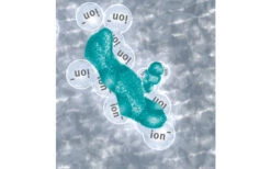 Lilie Frischwasserschutz Certec 3in1 -Freiraum Sanitar Geschaft 244301 2322568